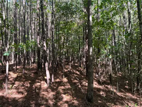 175 Old Henderson Rd, Central, SC 29630 photo 8