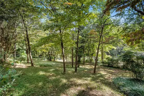 204 Thomas St, Clemson, SC 29631 photo 43
