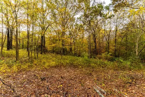 211 Stevenson Rd, Starr, SC 29684 photo 4