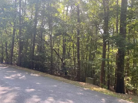 00 Turtlehead Dr, Salem, SC 29676 photo 6