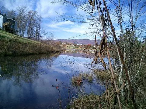 00 The Bear Blvd, Tamassee, SC 29686
