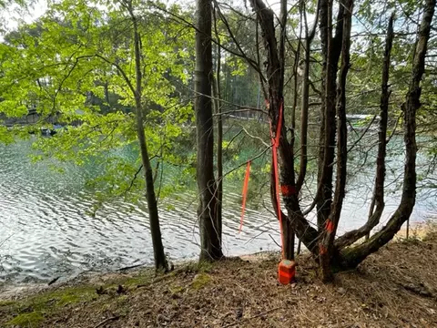 211 Lake Point Rd, Hartwell, GA 30643