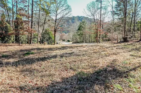 223 Long Cove Ct, Sunset, SC 29685 photo 19