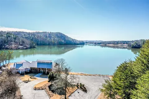 223 Long Cove Ct, Sunset, SC 29685 photo 32