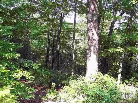 8 Woods Pond Crt Woods Pond Ct, Cleveland, SC 29635