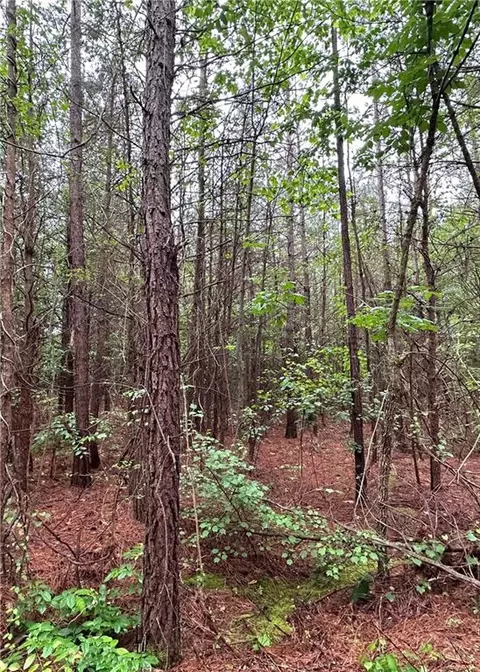 1299 Singleton Rd, Westminster, SC 29693 photo 6