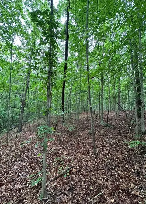 1299 Singleton Rd, Westminster, SC 29693 photo 4