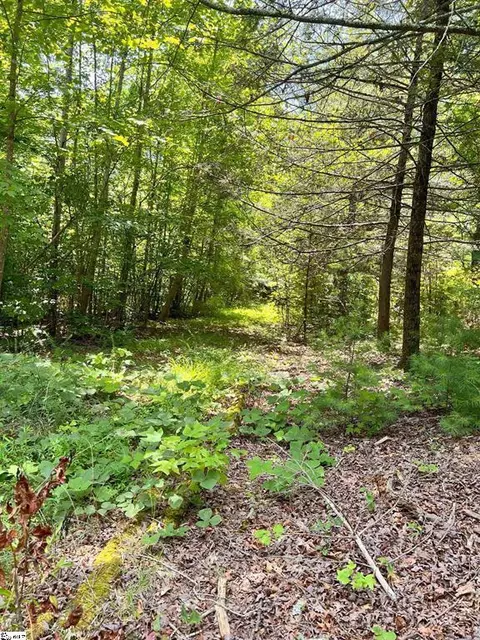 1299 Singleton Rd, Westminster, SC 29693