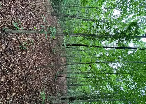 1299 Singleton Rd, Westminster, SC 29693 photo 10