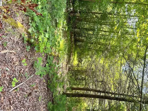 1299 Singleton Rd, Westminster, SC 29693 photo 9