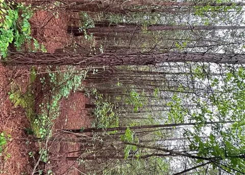 1299 Singleton Rd, Westminster, SC 29693 photo 13