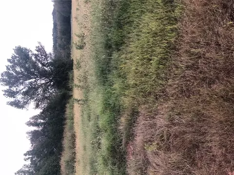 000 Lot No 1 Burdette Rd, Iva, SC 29655