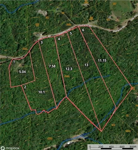 lot3 Dan Ross Rd, Six Mile, SC 29682