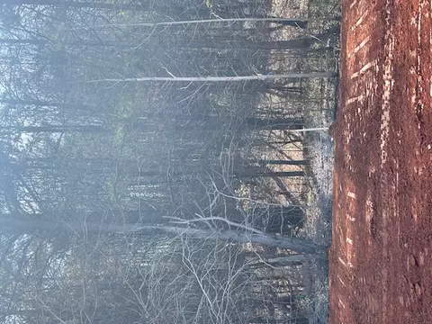 Other - 142 Brown Cir, Easley, SC 29642 photo 12 of 22