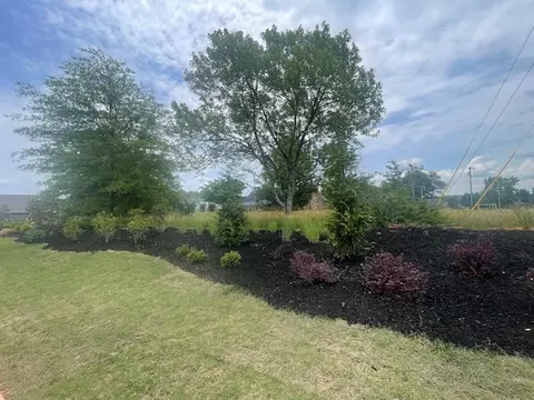 Exterior - 142 Brown Cir, Easley, SC 29642 photo 6 of 6