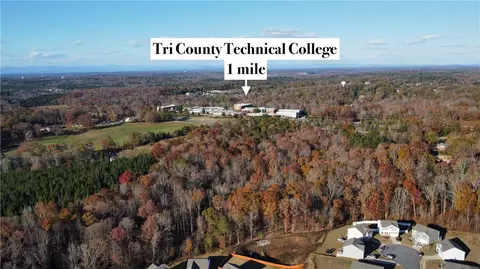 View/Area - 217 Millhone Way, Pendleton, SC 29670 photo 4 of 4