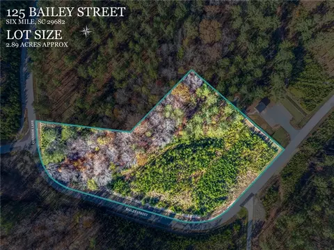 125 Bailey St, Six Mile, SC 29682