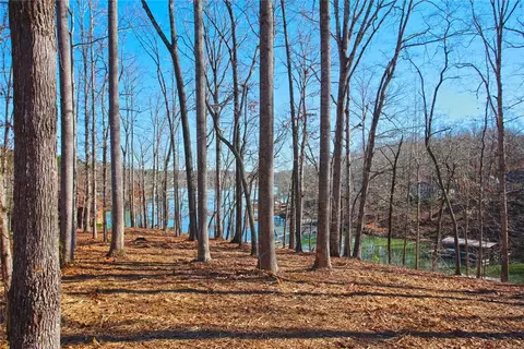 lot5 Laurel Pointe, Seneca, SC 29672 photo 10