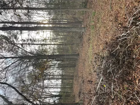 0 Blue Willow Cir, Honea Path, SC 29654 photo 6