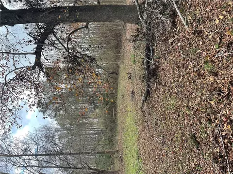 0 Blue Willow Cir, Honea Path, SC 29654 photo 5