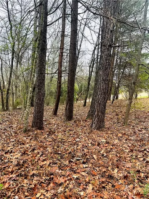 293 Sitton Mill Rd, Seneca, SC 29678 photo 31