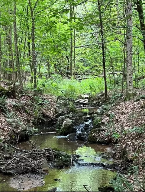 00 Cedar Spring S St, Bradley, SC 29819
