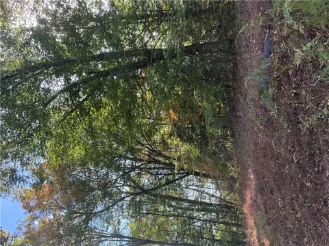 00 Lenhardt Rd, Easley, SC 29640 photo 8