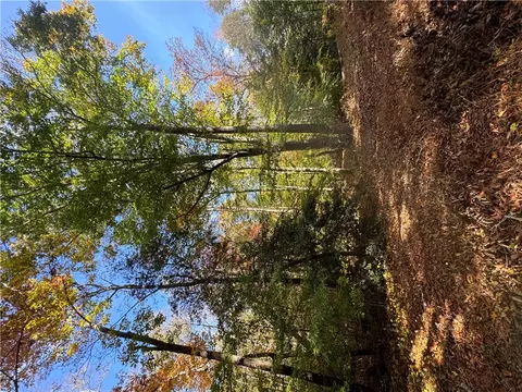 00 Lenhardt Rd, Easley, SC 29640 photo 6