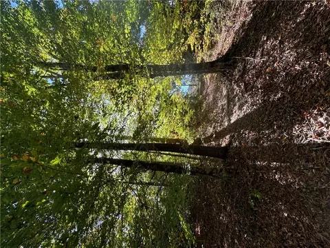 00 Lenhardt Rd, Easley, SC 29640 photo 7