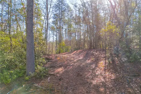 282 Little River Ln, Walhalla, SC 29691 photo 11