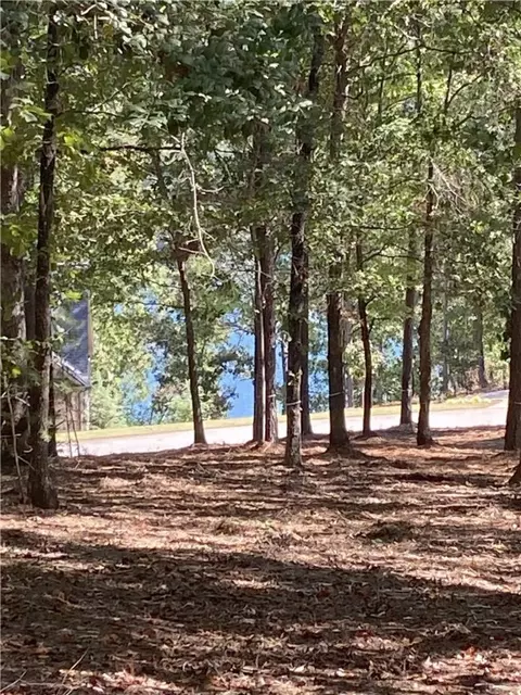 335 Long Cove Trl, Salem, SC 29676