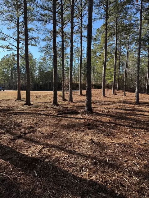 321 Golden Bear Dr, Sunset, SC 29685 photo 7