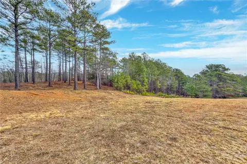 321 Golden Bear Dr, Sunset, SC 29685 photo 3