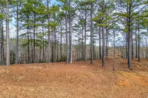 321 Golden Bear Dr, Sunset, SC 29685 photo 2