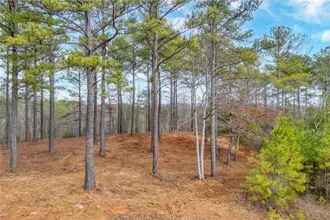 321 Golden Bear Dr, Sunset, SC 29685