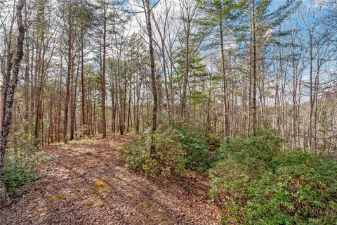 308 Ginseng Dr, Sunset, SC 29685 photo 37