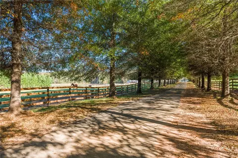Other - 132 Lake Rd, Easley, SC 29642 photo 6 of 21