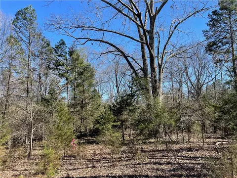 0 Old Hundred Rd, Pelzer, SC 29669 photo 17