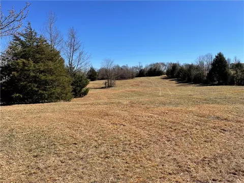 0 Old Hundred Rd, Pelzer, SC 29669 photo 9