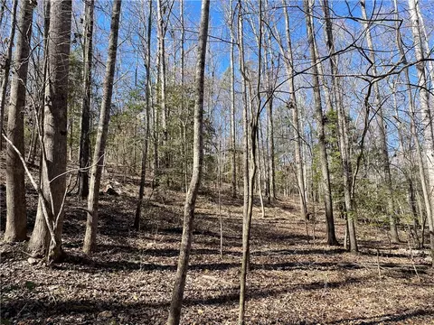 0 Old Hundred Rd, Pelzer, SC 29669 photo 20
