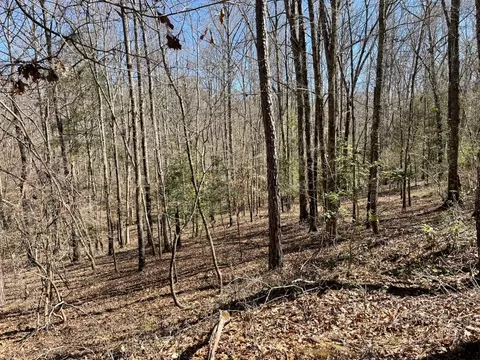 0 Old Hundred Rd, Pelzer, SC 29669 photo 18
