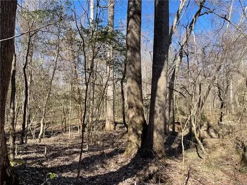 0 Old Hundred Rd, Pelzer, SC 29669 photo 22
