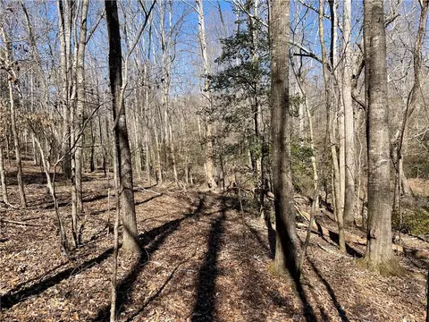 0 Old Hundred Rd, Pelzer, SC 29669 photo 19