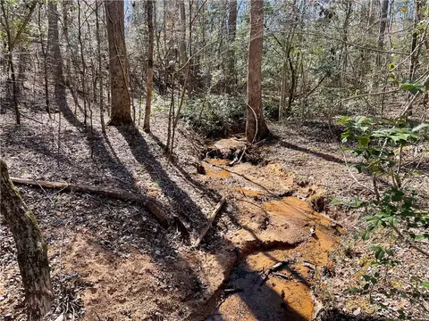 0 Old Hundred Rd, Pelzer, SC 29669 photo 21