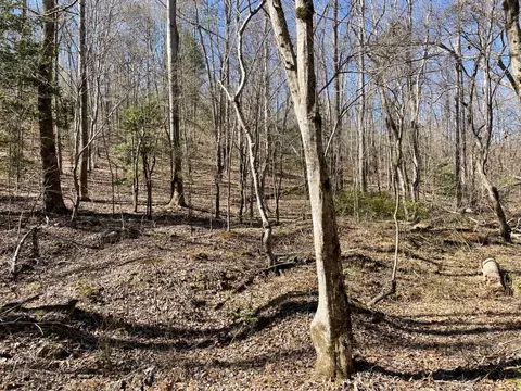 0 Old Hundred Rd, Pelzer, SC 29669 photo 27