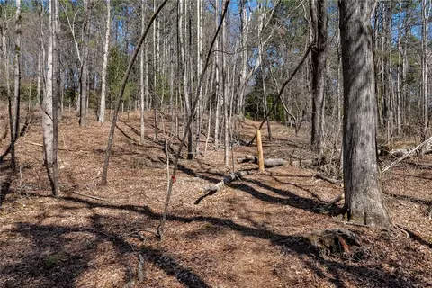 Other - 212 Morgan Dr, Central, SC 29630 photo 17 of 18