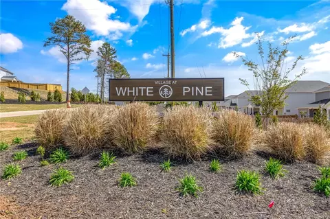 View/Area - 134 Longleaf Ln, Pendleton, SC 29670 photo 6 of 6