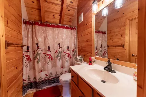 105 Cedar Cv, Sunset, SC 29685 photo 38
