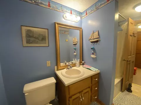 Bath - 364 Cardinal Ln, Toccoa, GA 30577 photo 4 of 4