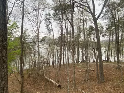 View/Area - 364 Cardinal Ln, Toccoa, GA 30577 photo 3 of 8